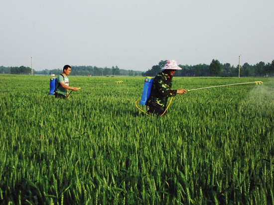 正陽(yáng)縣農(nóng)技人員地頭指導(dǎo)“一噴三防”