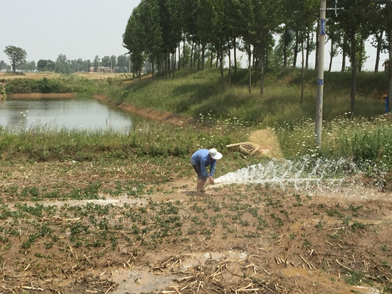 我市各地農(nóng)民積極抗旱保秋苗