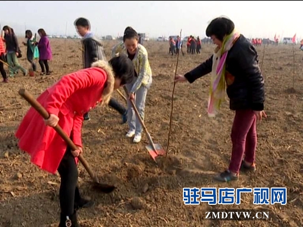 獻(xiàn)禮三八節(jié)，共植巾幗林_20160307091028.JPG