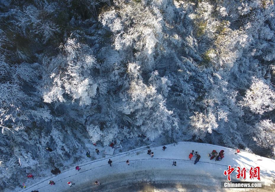 12月20日，重慶金佛山銀裝素裹雪景美如畫，吸引了不少游客前來觀賞。當(dāng)日，第19屆金佛山冰雪節(jié)正式開幕。 陳超 攝