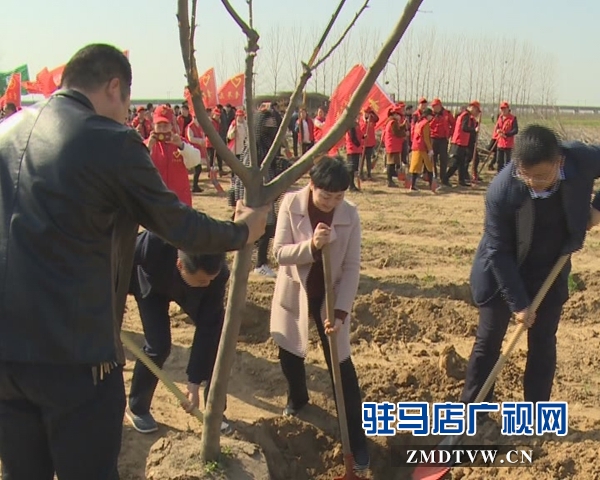 西平縣舉行大型植樹活動(dòng)暨青年林揭牌儀式