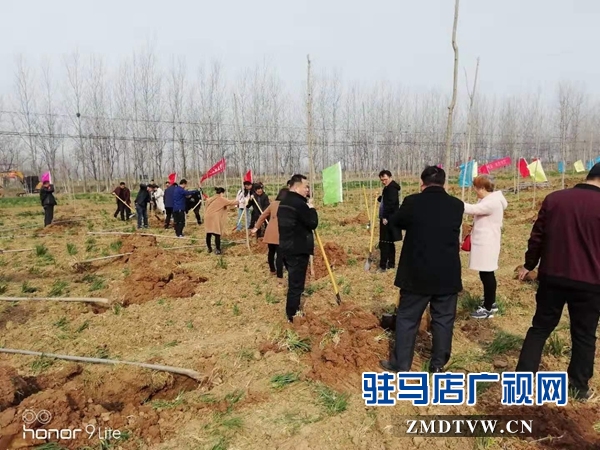 汝南縣三橋鎮(zhèn)黨員干部參加義務植樹活動