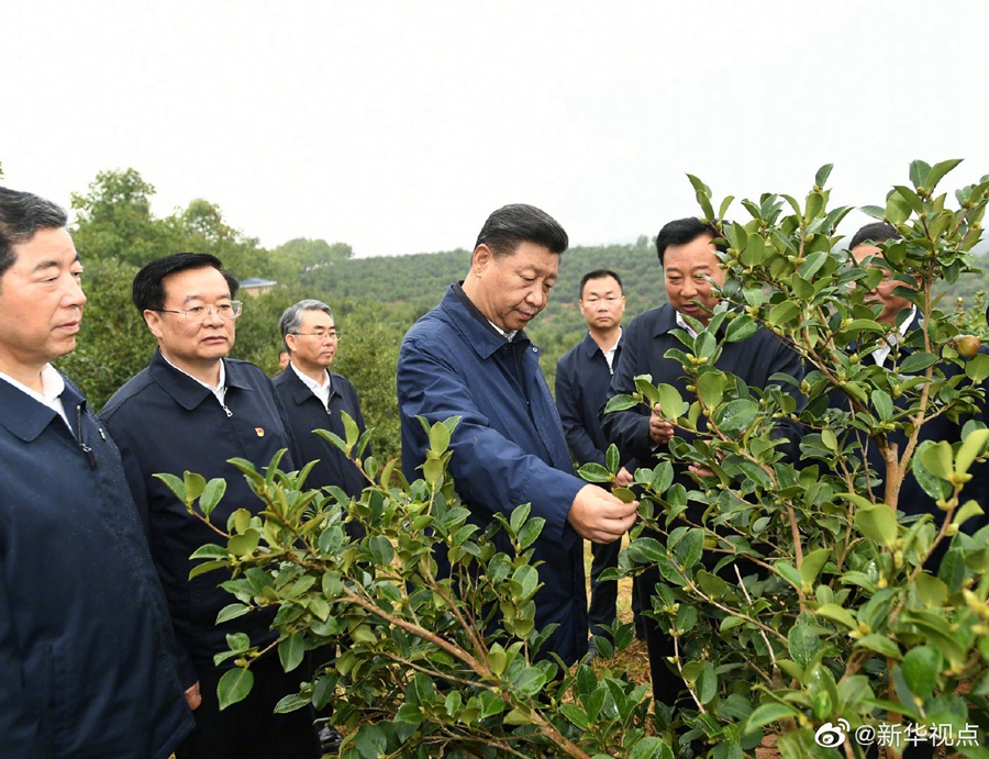 習近平：路子找到了，就要大膽去做