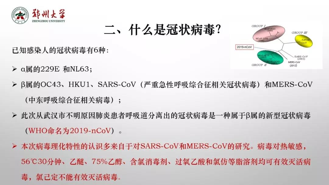 鄭州大學(xué)新型冠狀病毒感染的肺炎疫情防控知識(shí)宣傳手冊（師生第一版）