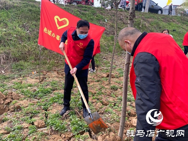 西平縣柏城街道辦事處組織開展義務(wù)植樹活動