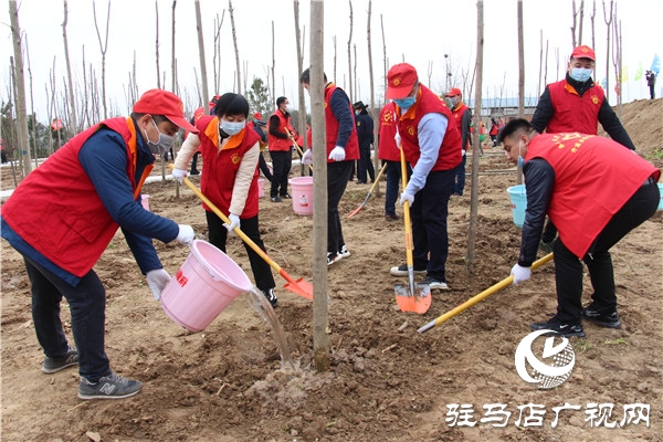 第42個(gè)植樹節(jié) 開發(fā)區(qū)為美麗中國添新綠