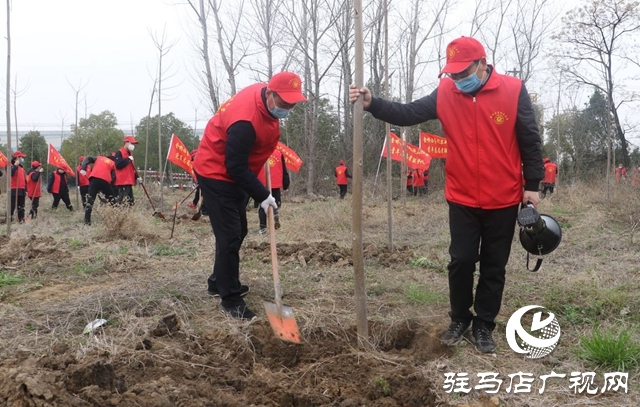 人勤春來(lái)早 植樹(shù)正當(dāng)時(shí)