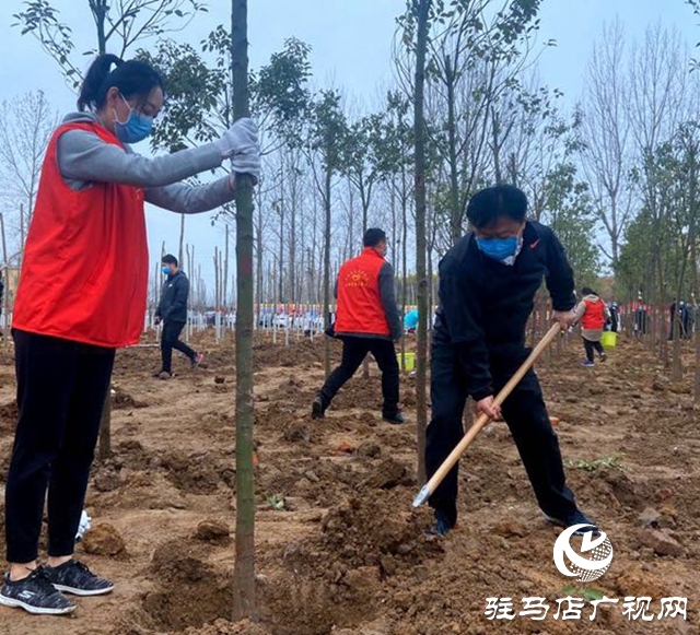 陳星 朱是西等市領(lǐng)導與廣大干群一起參加植樹造林活動