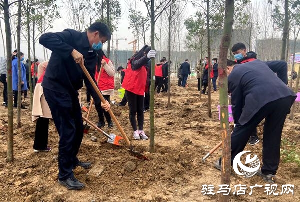 陳星 朱是西等市領(lǐng)導與廣大干群一起參加植樹造林活動