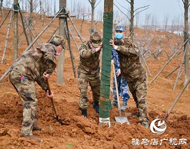 上蔡縣四大班子領(lǐng)導(dǎo)參加義務(wù)植樹活動