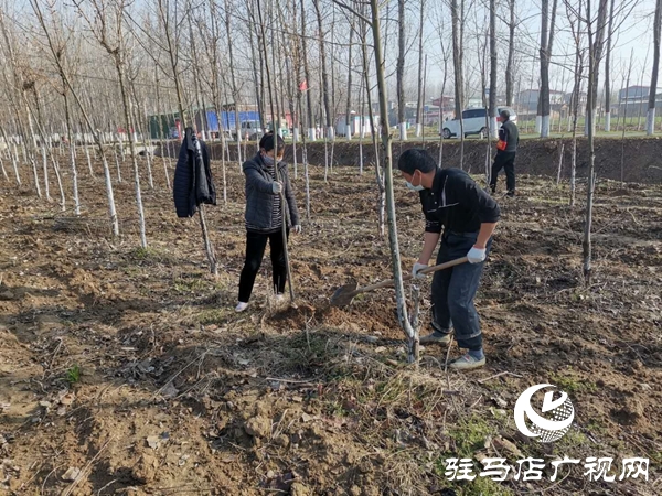 汝南縣老君廟鎮(zhèn)組建“生態(tài)護林員”隊伍助力脫貧攻堅