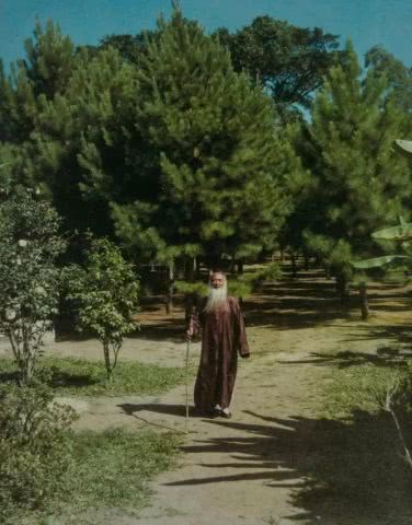 張大千藝術博物館以“八德園”為藍本，預計明年9月完工 