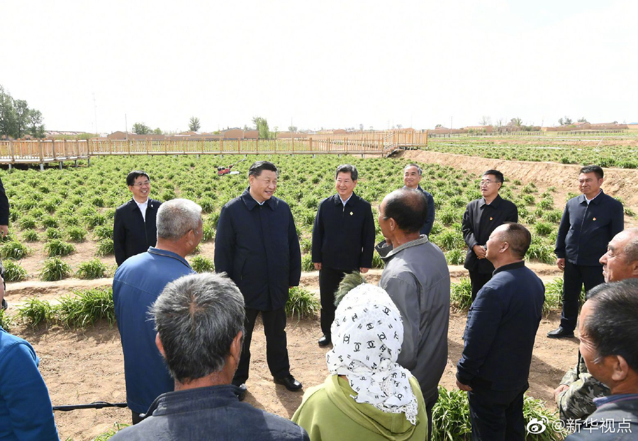 習(xí)近平：讓黃花成為群眾脫貧致富的“搖錢草”