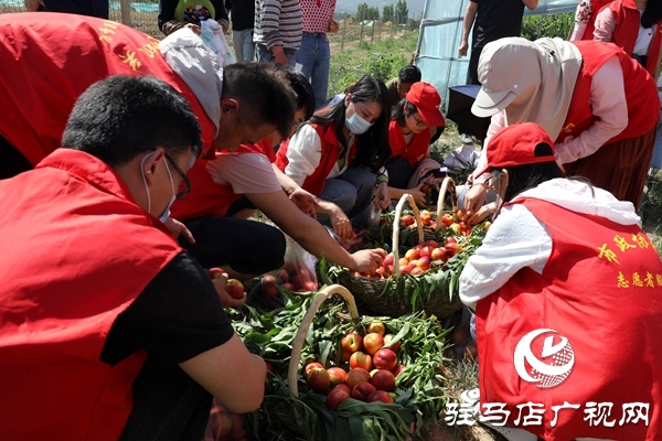 黨員為農(nóng)產(chǎn)品代言，政協(xié)助力脫貧攻堅 