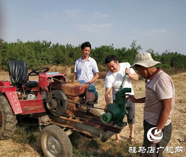 西平縣柏城街道：確保麥子顆粒歸倉   保障秋糧豐收