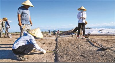 遺址格局逐步清晰，歷史文化內(nèi)涵日益豐富  北庭故城考古發(fā)現(xiàn)不斷深入