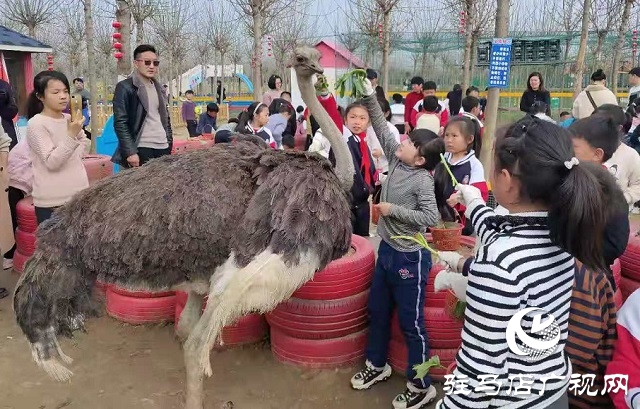 駐馬店實(shí)驗(yàn)小學(xué)開展“ 愛綠護(hù)綠”義務(wù)植樹活動