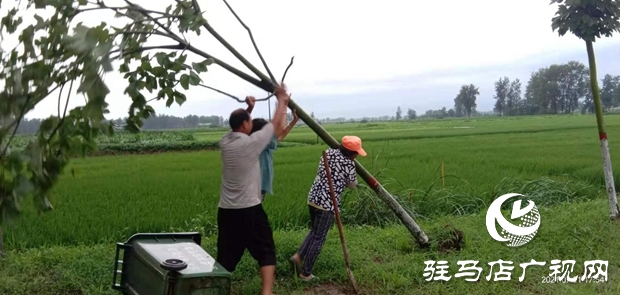 正陽(yáng)縣彭橋鄉(xiāng)黨員干部冒雨守護(hù)群眾安全