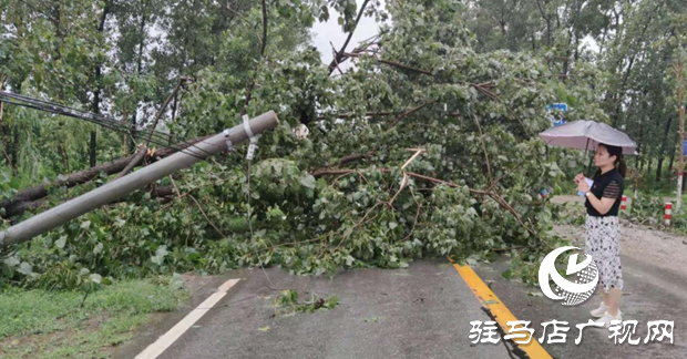 正陽(yáng)縣彭橋鄉(xiāng)黨員干部冒雨守護(hù)群眾安全