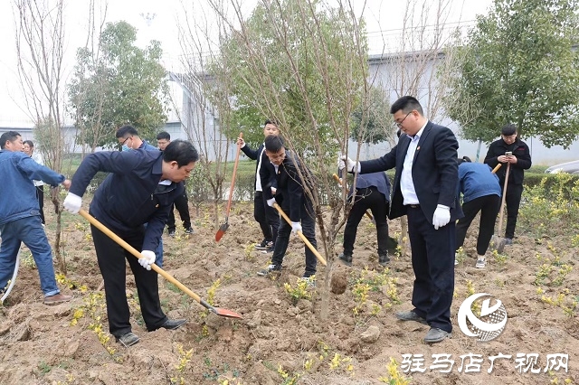 駐馬店弘康環(huán)保公司舉行植樹(shù)活動(dòng)