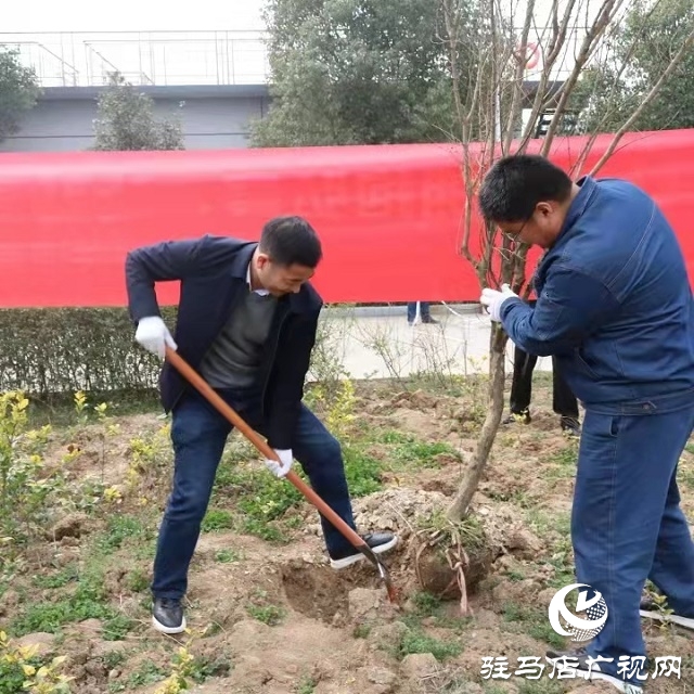 駐馬店弘康環(huán)保公司舉行植樹(shù)活動(dòng)