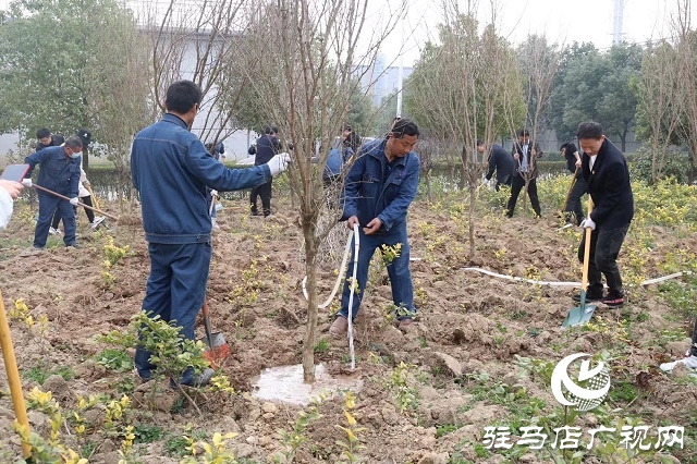 駐馬店弘康環(huán)保公司舉行植樹(shù)活動(dòng)