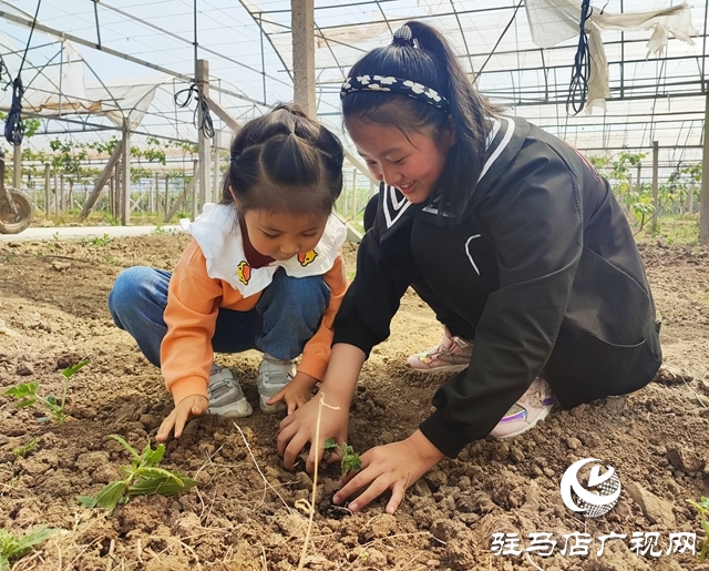 遂平杰美莊園：認養(yǎng)早春西瓜 見證小生命成長