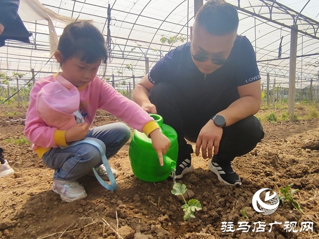 遂平杰美莊園：認養(yǎng)早春西瓜 見證小生命成長