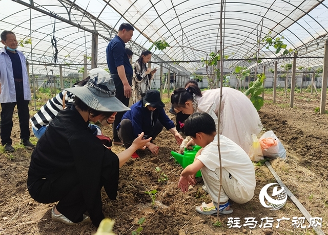 遂平杰美莊園：認養(yǎng)早春西瓜 見證小生命成長