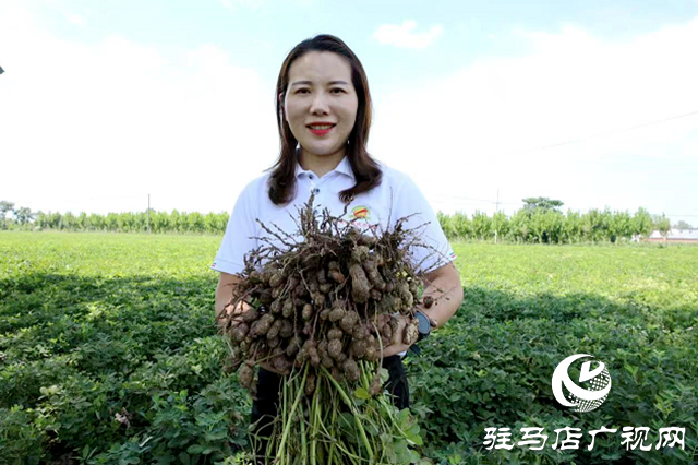 河南正陽(yáng)：鄉(xiāng)村振興戰(zhàn)場(chǎng)上的“勞模父女兵”