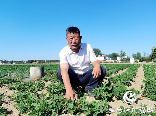 河南正陽(yáng)：鄉(xiāng)村振興戰(zhàn)場(chǎng)上的“勞模父女兵”