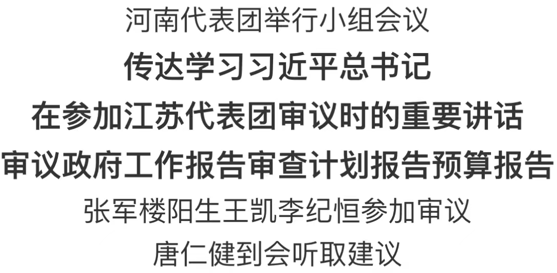 河南代表團舉行小組會議