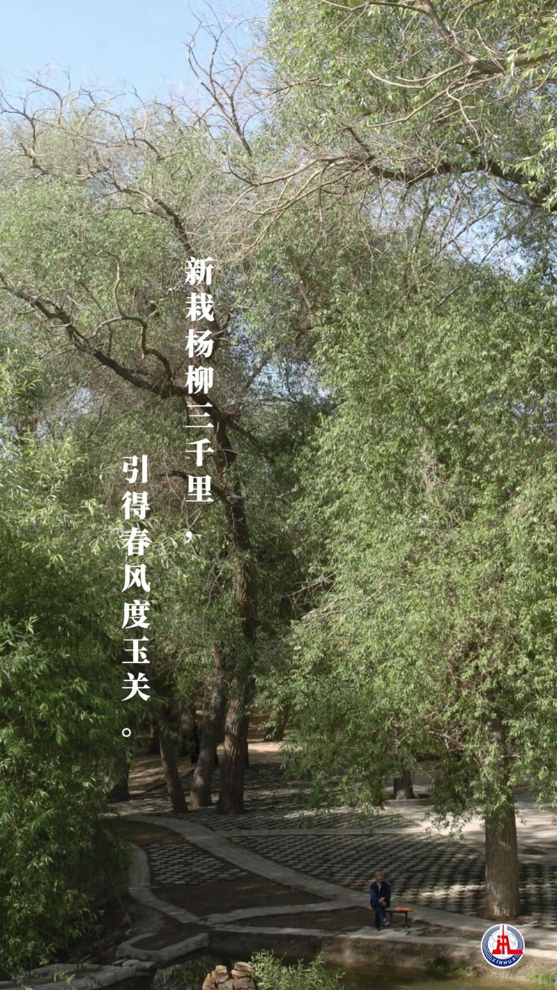 新華全媒+丨植樹傳統(tǒng)，從古詩中走來