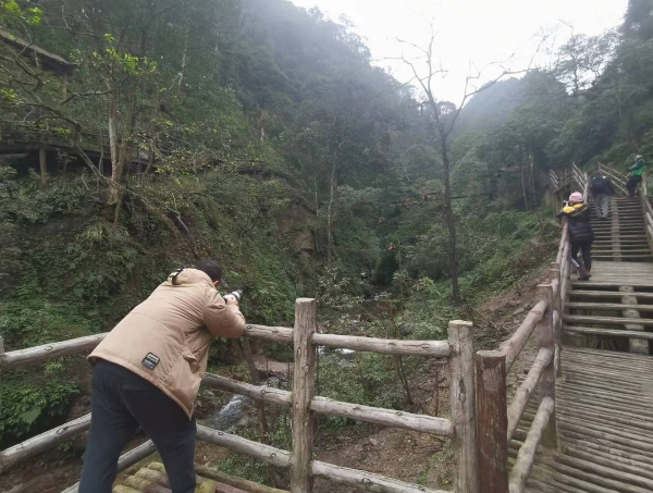 峨眉山猴子被拘留？假的！峨眉山猴子是國家二級保護(hù)動物