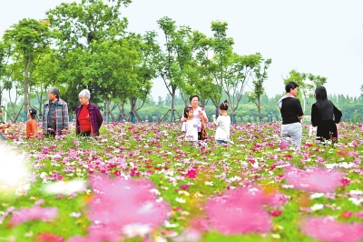 新時(shí)代 新征程 新偉業(yè)丨國際花園城市競賽，信陽憑啥“蟾宮折桂”