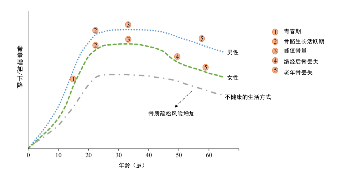 年紀(jì)輕輕，骨頭先老？預(yù)防骨質(zhì)疏松癥從早做起