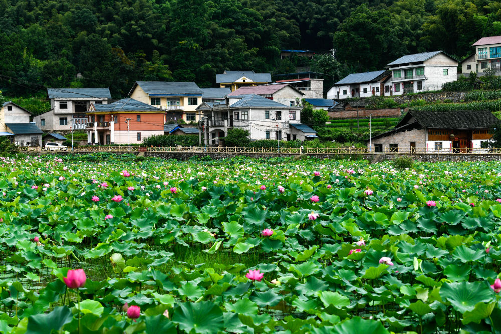 鏡觀中國丨建設(shè)美麗中國 護(hù)綠水青山“金飯碗”