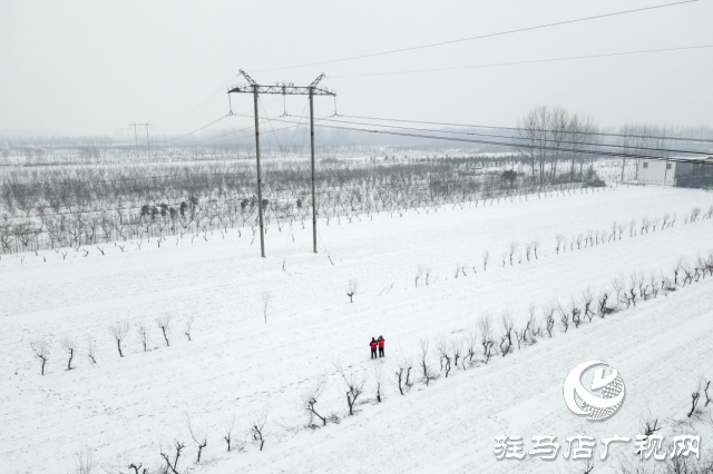 國網(wǎng)平輿縣供電公司：踏雪破冰護(hù)電網(wǎng)  寒潮逆行保民生