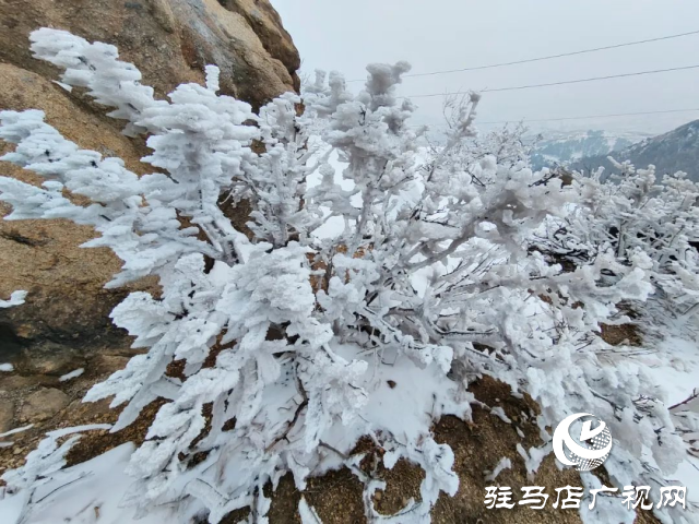 美呆了！羅漢山開啟雪凇、霧凇雙景齊現(xiàn)模式