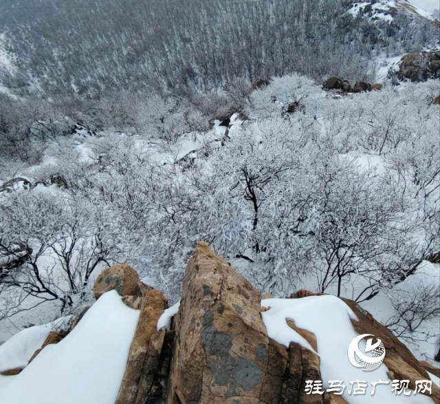 美呆了！羅漢山開啟雪凇、霧凇雙景齊現(xiàn)模式