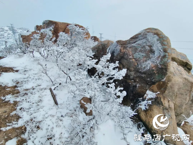 美呆了！羅漢山開啟雪凇、霧凇雙景齊現(xiàn)模式