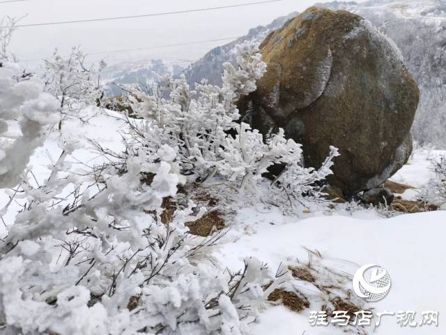 美呆了！羅漢山開啟雪凇、霧凇雙景齊現(xiàn)模式