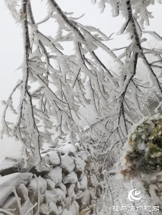 美呆了！羅漢山開啟雪凇、霧凇雙景齊現(xiàn)模式