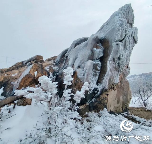 美呆了！羅漢山開啟雪凇、霧凇雙景齊現(xiàn)模式