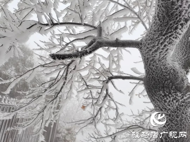 美呆了！羅漢山開啟雪凇、霧凇雙景齊現(xiàn)模式