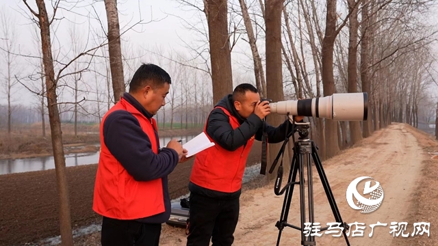 寒冬，他們在宿鴨湖濕地守護候鳥