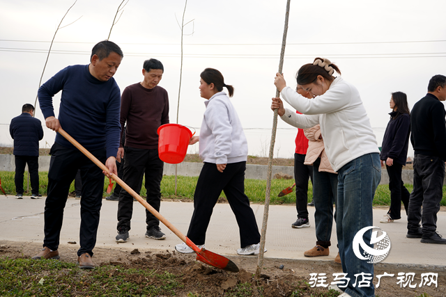 新蔡縣河塢鄉(xiāng)：植樹(shù)添新綠 鄉(xiāng)村“靚”起來(lái)