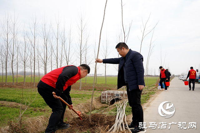 新蔡縣河塢鄉(xiāng)：植樹(shù)添新綠 鄉(xiāng)村“靚”起來(lái)