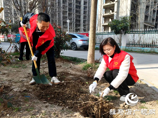 駐馬店市郵政分公司團(tuán)委組織開展植樹活動