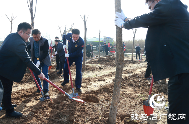 驛城區(qū)：植樹添新綠 不負好春光